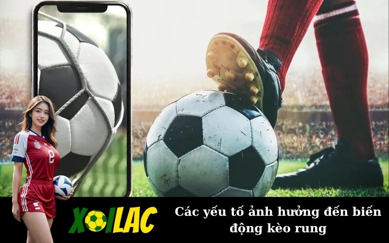 Các yếu tố ảnh hưởng đến biến động kèo rung