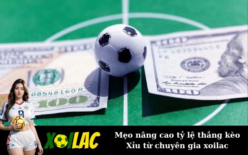 Mẹo nâng cao tỷ lệ thắng kèo Xỉu từ chuyên gia xoilac